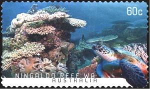 Colnect-2470-485-Green-Sea-Turtle-Chelonia-mydas-Corals.jpg