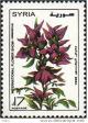 Colnect-2219-520-Plum-coloured-with-yellow-centres.jpg