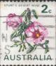 Colnect-6178-667-Sturt-s-Desert-Rose.jpg