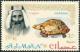 Colnect-723-098-Sheik-Rashid-and-Spur-thighed-Tortoise-Testudo-graeca.jpg