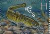 2011._Stamp_of_Belarus_24-2011-28-07-z1.jpg