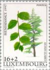 Colnect-135-016-Indigenous-Trees---Ulmus-glabra.jpg