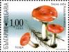 Colnect-1389-984-Poisonous-Mushrooms---Russula-emetica.jpg