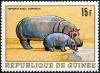 Colnect-3726-950-Hippopotamus-Hippopotamus-amphibius.jpg