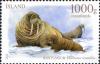 Colnect-5064-094-Walrus-Odobenus-rosmarus.jpg