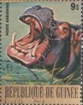 Colnect-1975-611-Hippopotamus-Hippopotamus-amphibius.jpg