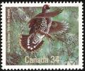 Colnect-3642-428-Spruce-Grouse-Canachites-canadensis-.jpg