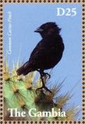 Colnect-3805-306-Common-Cactus-Finch-Geospiza-scandens.jpg