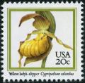 Colnect-5093-860-Cypripedium-calceolus---Yellow-Lady--s-slipper-Orchid.jpg