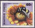 Colnect-586-497-Garden-Bumblebee-Bombus-hortorum-Blanket-Flower-Gaillard.jpg