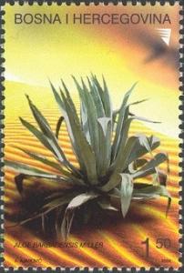 Colnect-1179-335-Flora---Cactus---Aloe-barbadensis-Miller.jpg