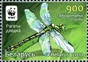 2010._Stamp_of_Belarus_26-2010-03-08-m1.jpg