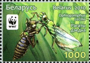 2010._Stamp_of_Belarus_26-2010-03-08-m2.jpg