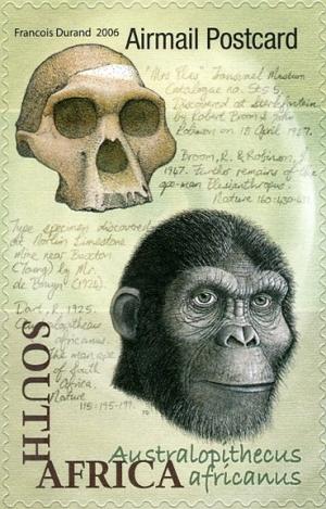 Australopithecus-africanus.jpg