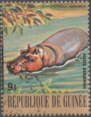 Colnect-1975-609-Hippopotamus-Hippopotamus-amphibius.jpg