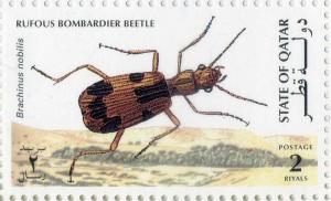 Colnect-2843-122-Rufous-bombardier-beetle.jpg