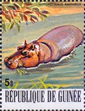 Colnect-2908-931-Hippopotamus-Hippopotamus-amphibius.jpg