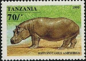 Colnect-4312-482-Hippopotamus-Hippopotamus-amphibius.jpg