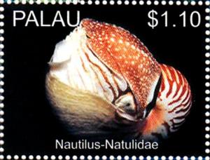 Colnect-4910-080-Nautilus-Nautilus-pompilius.jpg