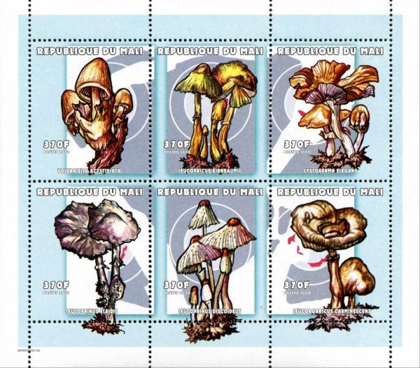 Colnect-2606-972-Mushrooms-Sheet-1.jpg