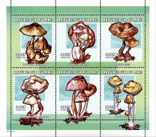 Colnect-2606-973-Mushrooms-Sheet-2.jpg