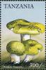 Colnect-3234-793-Russula-virescens.jpg