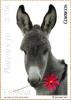 Colnect-3016-983-Donkey-Equus-asinus-asinus---Poem--Platero-and-I-.jpg
