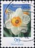 Colnect-1058-802-Narcissus-poeticus---Narcissus.jpg