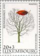 Colnect-135-018-Indigenous-Trees---Prunus-avium.jpg