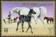 Colnect-1462-458-Arabian-Horse-Equus-ferus-caballus-Mare-with-Foal.jpg