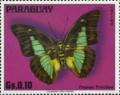 Colnect-2067-019-Proschion-Butterfly-Prepona-proschion.jpg