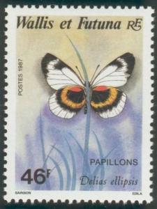 Colnect-897-473-Jezebel-Butterfly-Delias-ellipsis.jpg