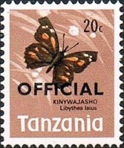 Colnect-2614-869-African-Snout-Butterfly-Libythea-laius.jpg