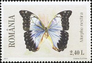 Colnect-4286-681-Morpho-Butterfly-Morpho-nestira.jpg