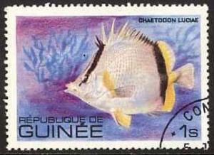 Colnect-965-735-Three-banded-Butterflyfish-Chaetodon-luciae.jpg