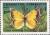 Colnect-783-969-Pieridae-Butterfly-Colias-romanovi.jpg