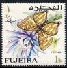 Colnect-2341-074-Lycaenid-Butterfly-Spindasis-scotti.jpg