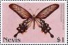 Colnect-4411-285-Boisduval-s-autumnal-moth.jpg