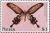 Colnect-4411-285-Boisduval-s-autumnal-moth.jpg
