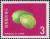 Colnect-3038-312-Guava-Psidium-guajava.jpg