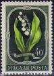Colnect-597-546-Lily-of-the-Valley-Convallaria-majalis.jpg