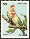 Colnect-3565-415-Rosy-faced-Lovebird-Agapornis-roseicollis.jpg