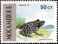 Colnect-1117-493-Angola-River-Frog-Rana-angolensis.jpg
