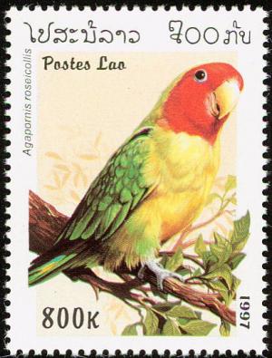 Colnect-1614-694-Rosy-faced-Lovebird-Agapornis-roseicollis.jpg
