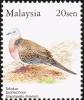 Colnect-5414-932-Spotted-Dove-Streptopelia-chinensis.jpg