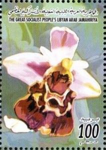 Colnect-5450-699-Brownviolet-yellow-orchid.jpg