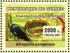 Colnect-3840-480-Congo-Peafowl-Afropavo-congensis-Kiwano-Cucumis-metulife.jpg
