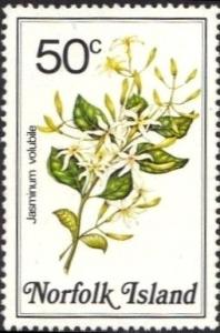 Colnect-2167-362-Jasminum-volubile---Stiff-jasmine.jpg