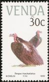 Colnect-751-647-Lappet-faced-Vulture-Torgos-tracheliotus.jpg