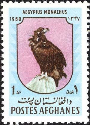 Colnect-1624-213-Cinereous-Vulture-Aegypius-monachus.jpg
